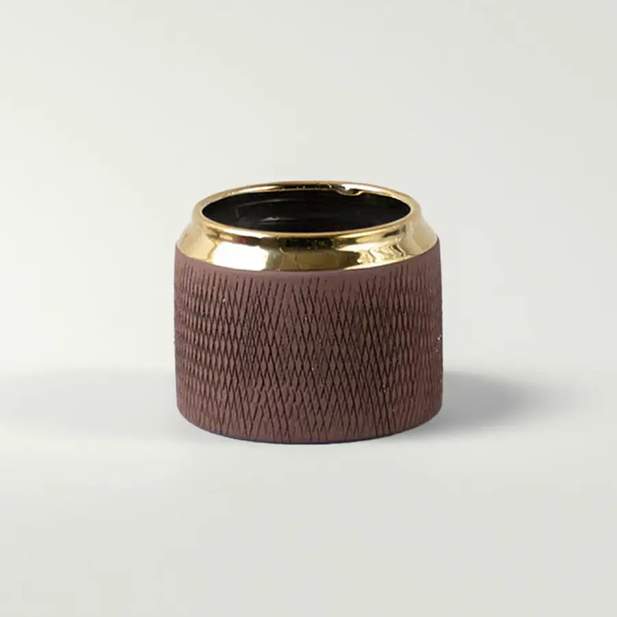 Brown textured ceramic planter pot with gold rim detailing for tabletop plant styling and modern home decor.