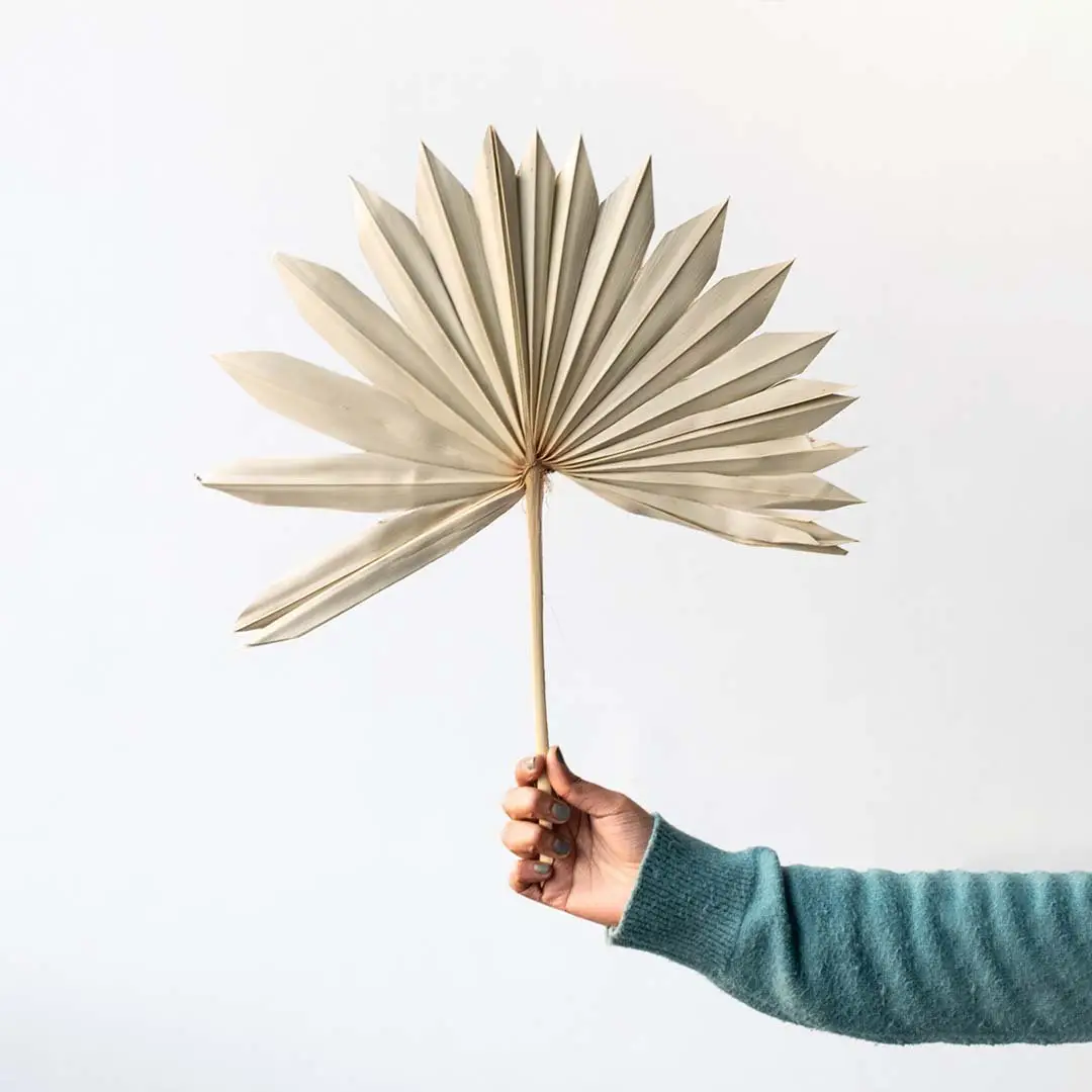 Natural dried palm leaf stem for boho home decor vase styling and minimalist interior decoration accents.