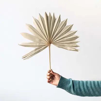 Natural dried palm leaf stem for boho home decor vase styling and minimalist interior decoration accents.