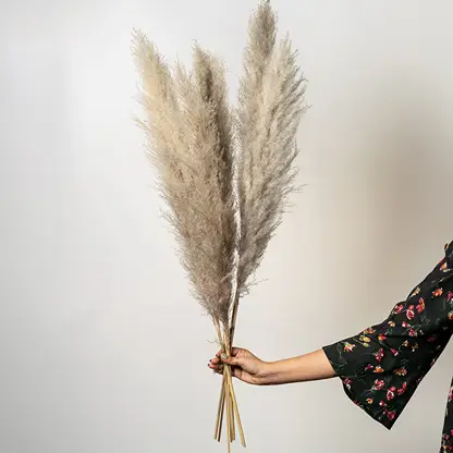 Hand holding a bundle of three fluffy natural beige dried pampas grass plumes for elegant luxury bohemian floor vase decor.