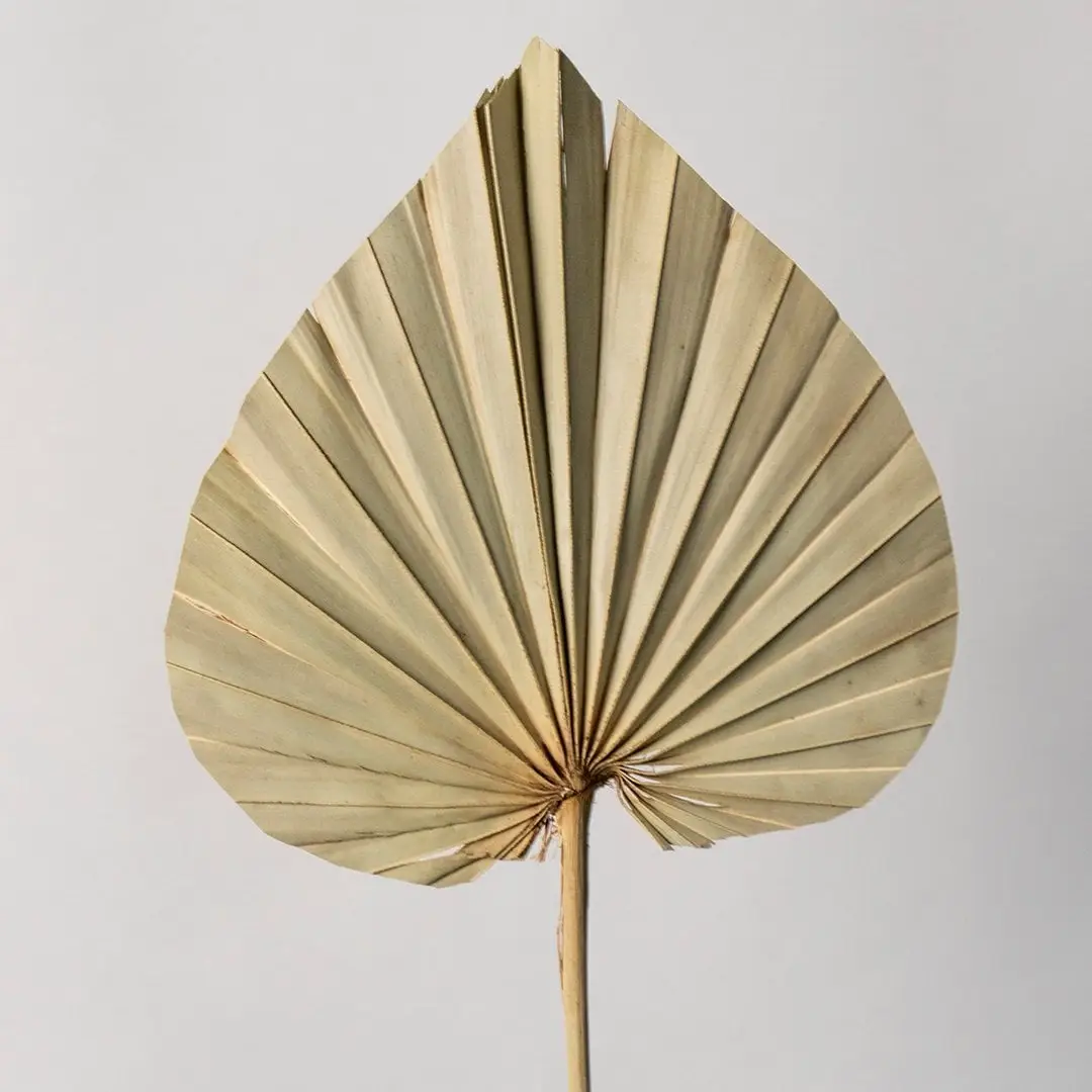 Closeup of dried palm leaves showing intricate folds and crisp natural texture arranged in a stylish glass vase.