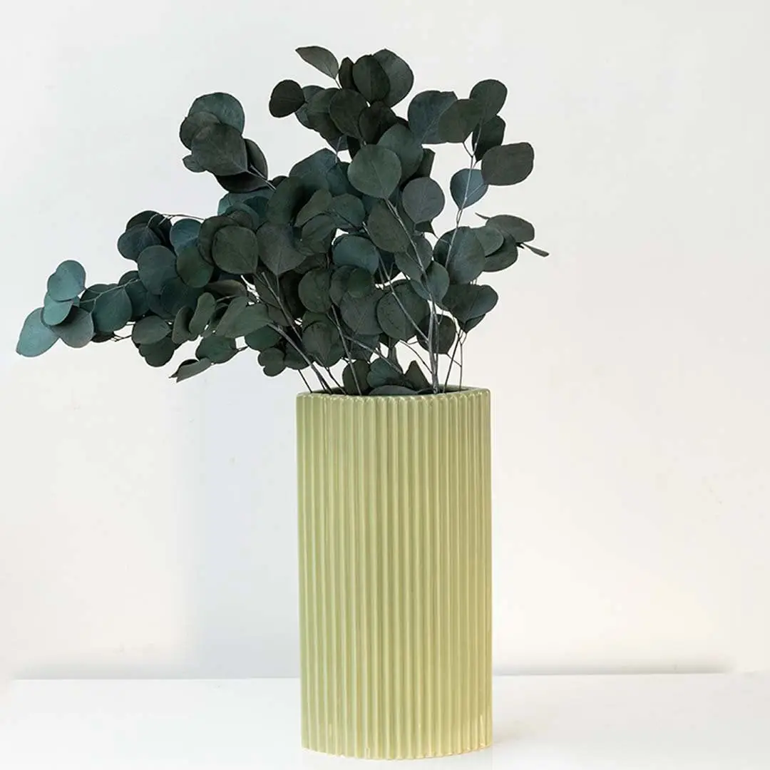 Dark green dried eucalyptus stems displayed on a clean white background ideal for natural modern home decor styling.