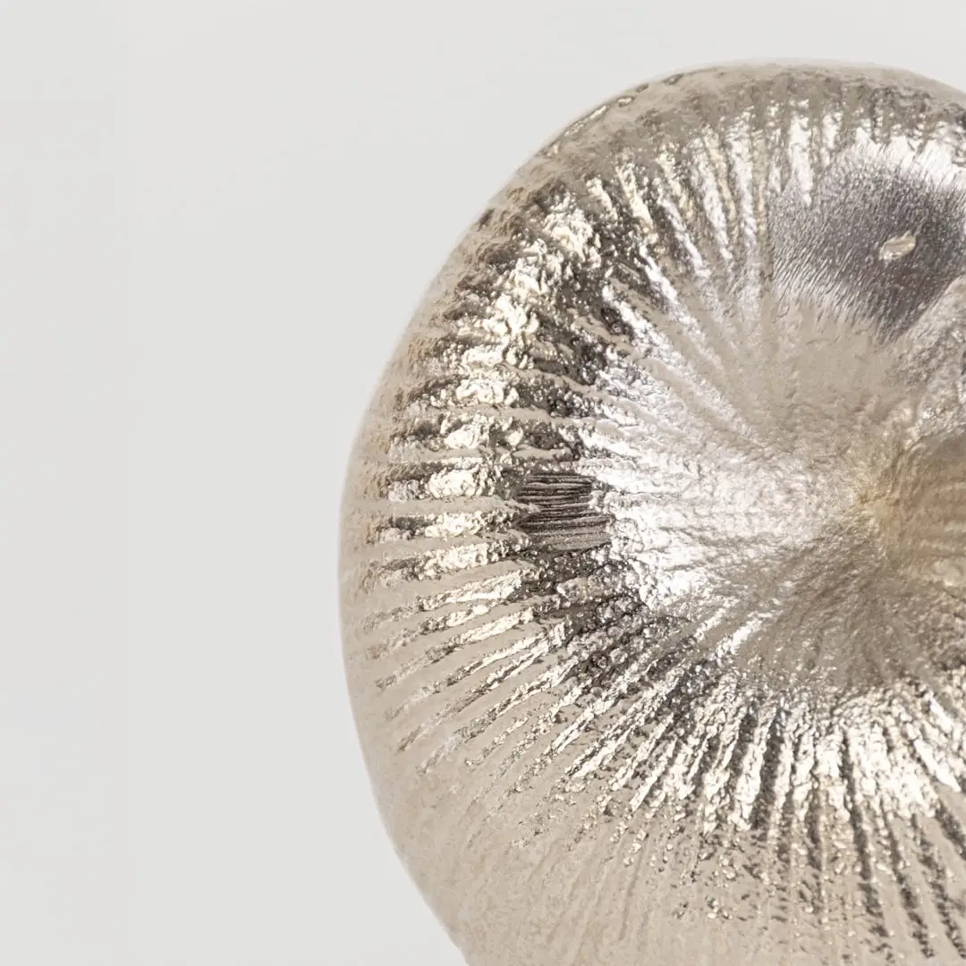Closeup view of the silver nautilus shell bowl showing its detailed ridged texture and elegant curved form