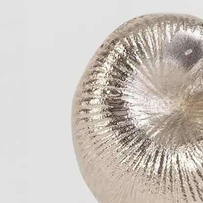Closeup view of the silver nautilus shell bowl showing its detailed ridged texture and elegant curved form