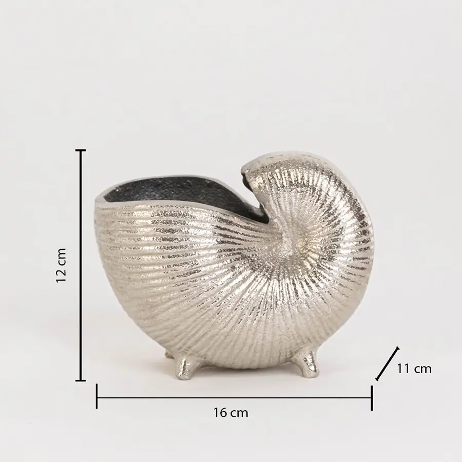 Silver nautilus shell bowl shown on a white background with dimensions displaying 12 cm height 16 cm width and 11 cm depth