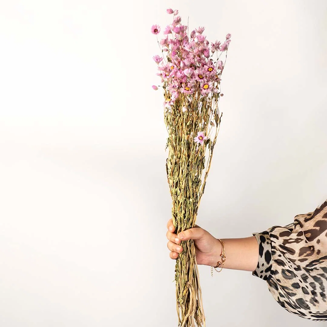 Hand holding a lush pink and yellow dried wildflower bouquet bundle for cottagecore bedroom decor on white backdrop.