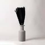 Small Pampas Grass - Black
