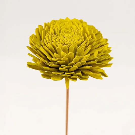 A single olive green handmade sola wood flower stem isolated on white background for luxury modern tabletop vase decoration.