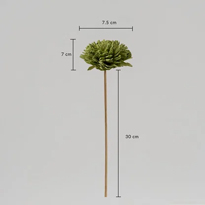 Artificial green chrysanthemum flower stem measuring 30 cm in height and 7.5 cm flower width is displayed with size dimensions.
