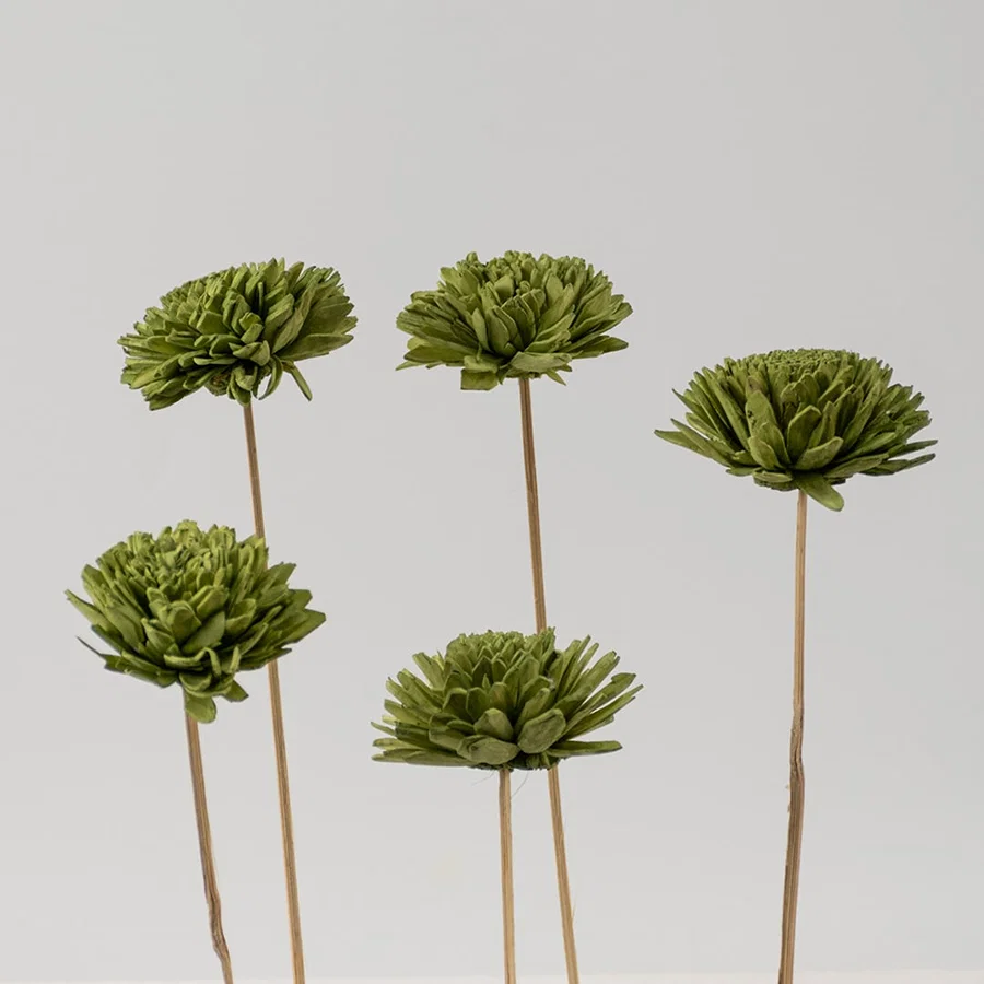 Set of multiple green chrysanthemum stems with natural texture ideal for vase decoration floral arrangements and home styling.