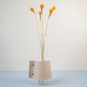 Strawberry Fruit - Orange