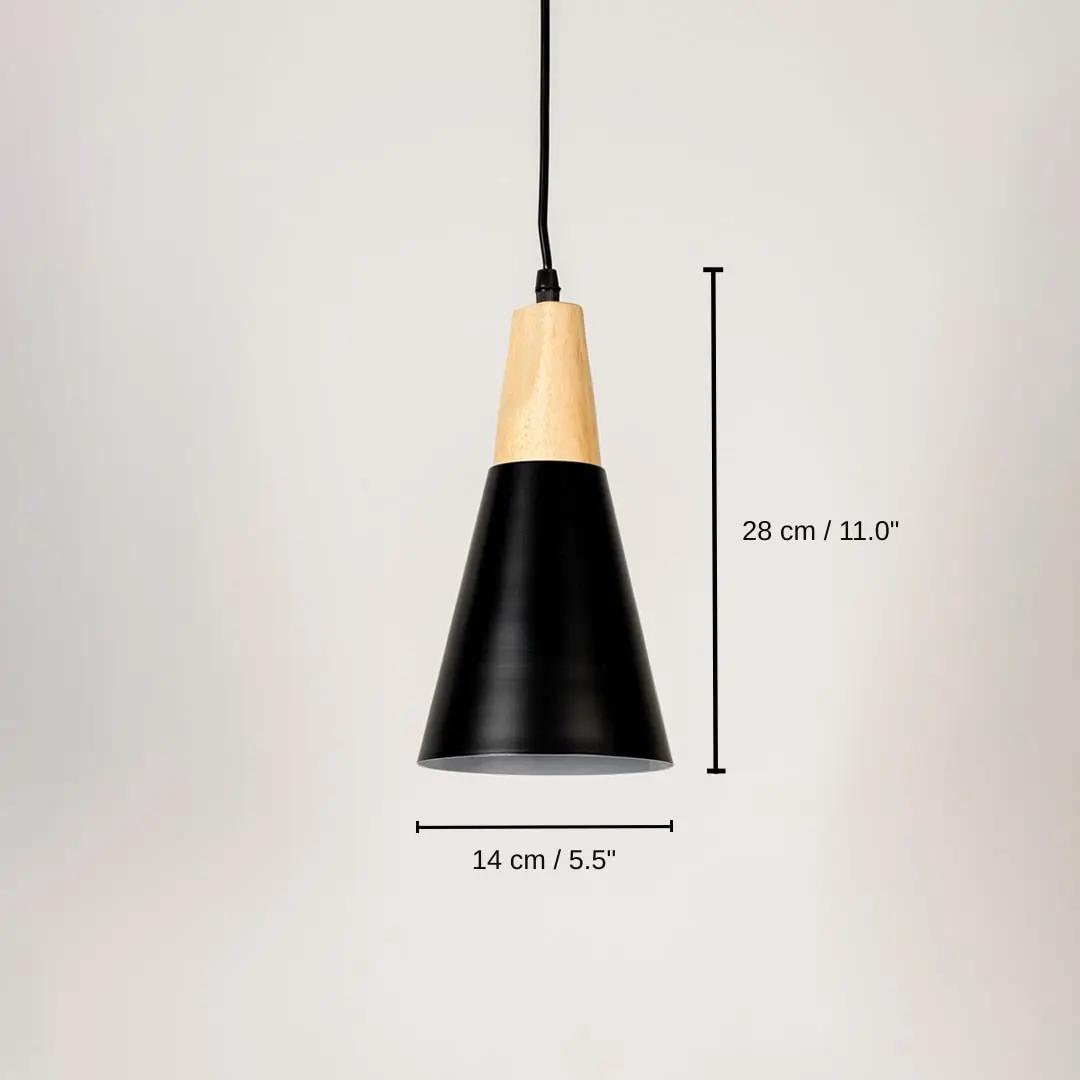 Black metal pendant light, 28 x 14 x 14 cm (11.0 x 5.5 x 5.5 inches) dimensions