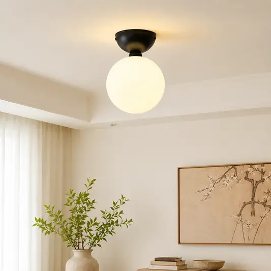 Modern ceiling light with black base and frosted glass globe styled in living room for elegant home lighting.