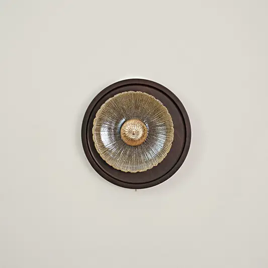 Celestial Fluted Art Wall Light switched off on white background.