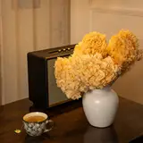 Preserved Hydrangea - Peach