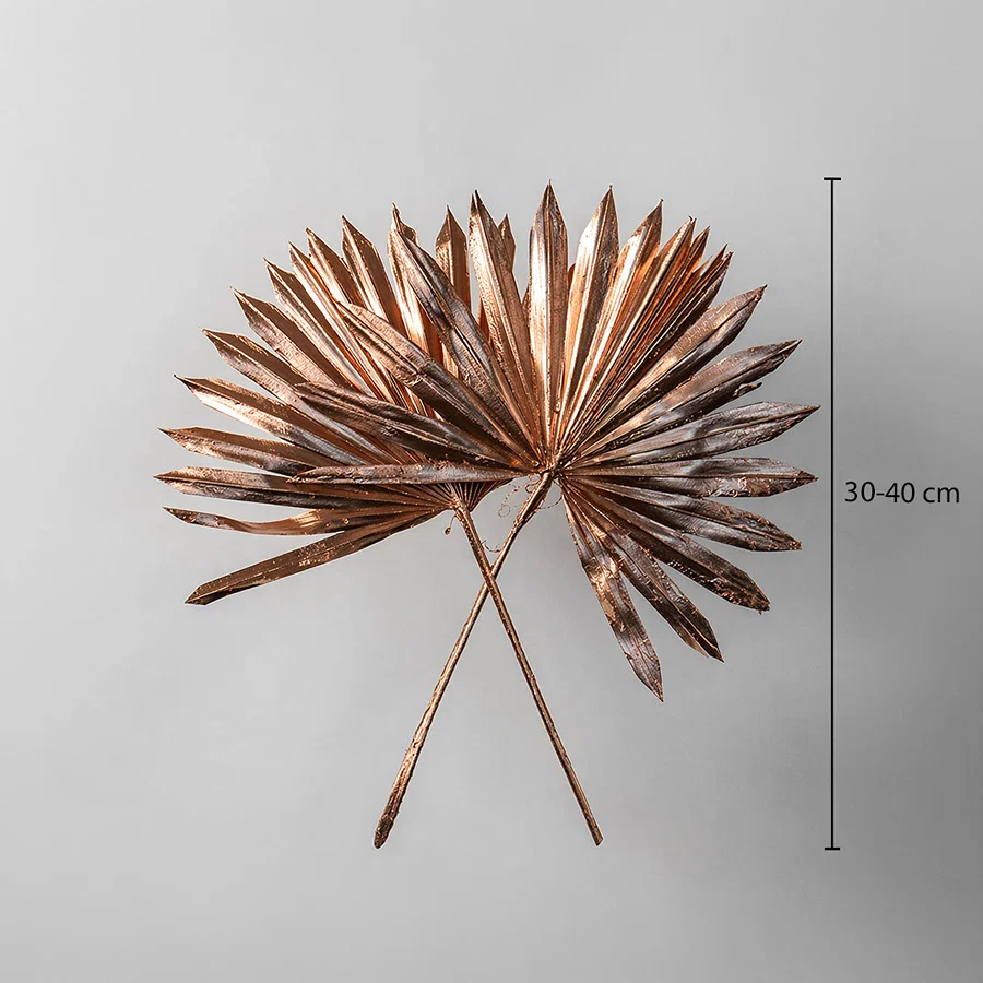 Two rose gold metallic painted dried palm sun fan leaves showing a thirty to forty centimeter height on white backdrop.