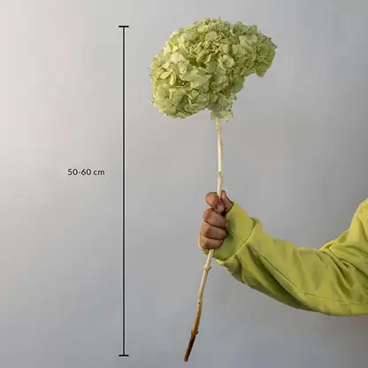 Artificial green hydrangea flower stem with realistic petals and natural stick perfect for vase arrangements and home decor.